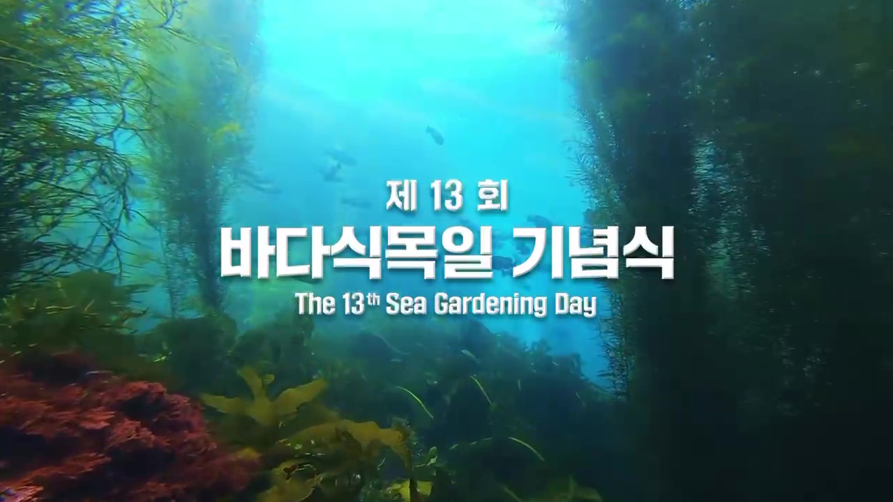 제13회 바다식목일 기념식 메인 영상
