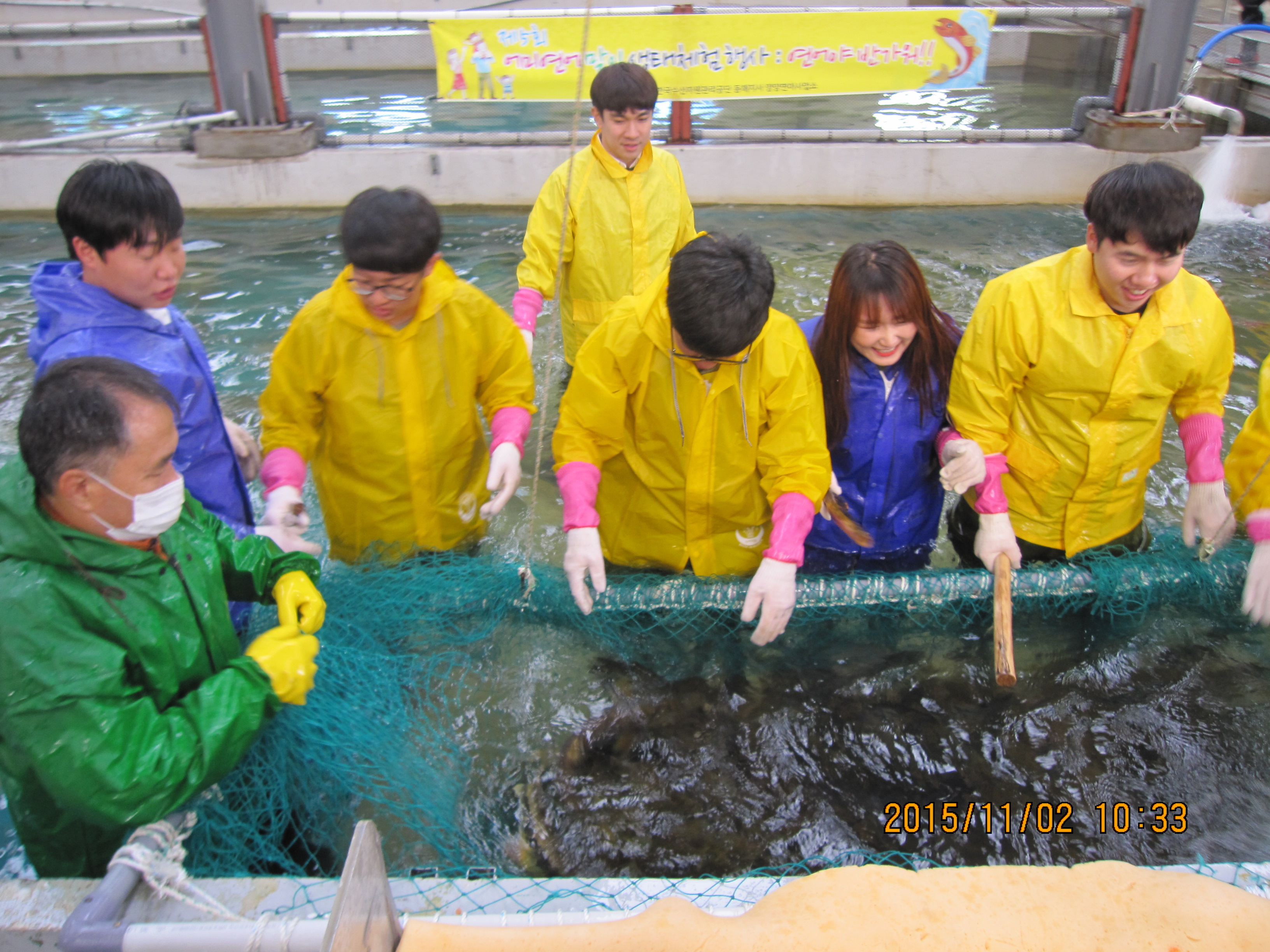 2015년11월2일(제5회 어미연어 맞이 생태체험행사)