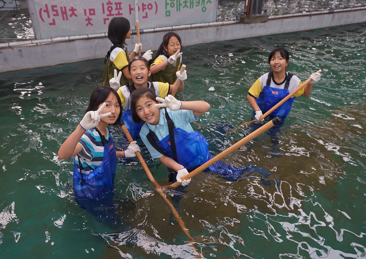 2016년 어미연어 맞이행사 동해삼육초등학교(10월24일) 