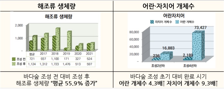 해조류 생체량 - 해조류 생체량 바다숲 조성 전 2017년 937 2018년 1,100 2019년 171 2020년 327 2021년 524 로 평균 721에서 조성 후 2017년 1,312 2018년 1,723 2019년 1,476 2020년 513 2021년 597 로 평균 1,124로 증가 - 바다숲 조성 전 대비 조성 후 해조류 생체량 '평균 55.9% 증가', 어란,자치어 개체수 - 조성 2년차 자치어 개체수 236, 어란 개체수 16,883 에서 조성 4년차 자치어 개체수 2,189 어란 개체수 73,427로 증가 - 바다숲 조성 초기 대비 완료시기 어란 개체수 4.3배 증가, 자치어 개체수 9.3배 증가